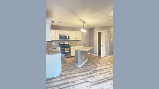Houston 1-story, 4-bed 2423 Golden Pass-idx