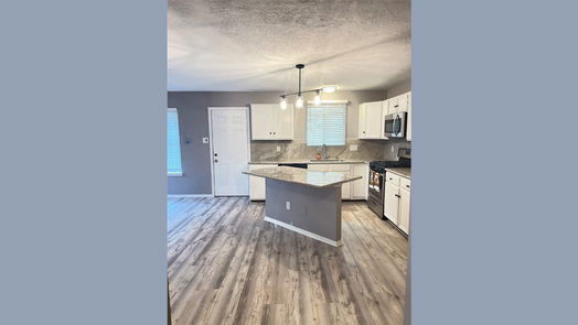 Houston 1-story, 4-bed 2423 Golden Pass-idx