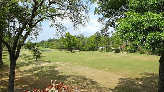 Houston 2-story, 3-bed 2726 N Southern Oaks Drive-idx