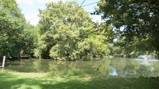 Houston 1-story, 3-bed 16302 Mahan Road-idx