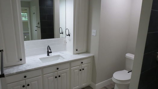 Houston 1-story, 3-bed 16302 Mahan Road-idx