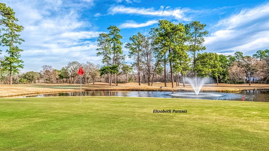 Houston 2-story, 4-bed 17302 Cedar Placid Lane-idx