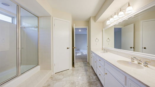 Houston 2-story, 3-bed 204 Old Bridge Lake-idx