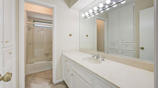 Houston 2-story, 3-bed 204 Old Bridge Lake-idx