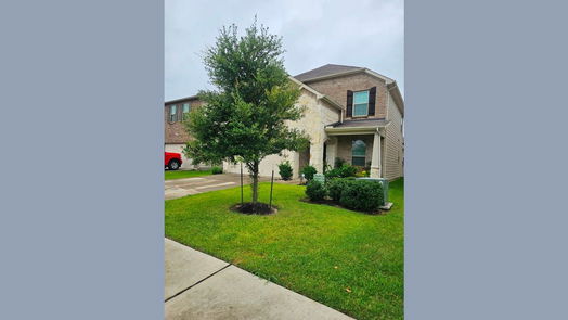 Houston 2-story, 4-bed 14619 Auburn Dusk Drive-idx