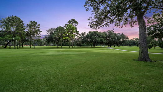 Houston 1-story, 3-bed 6103 Bermuda Dunes Drive-idx