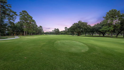 Houston 1-story, 3-bed 6103 Bermuda Dunes Drive-idx