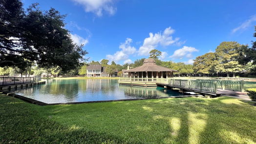 Houston 1-story, 3-bed 127 Old Bridge Lake-idx