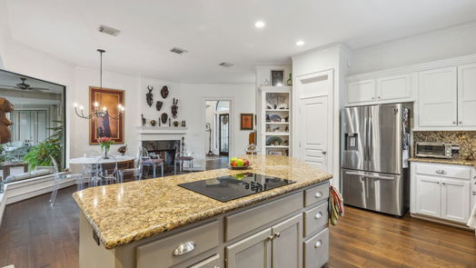 Houston 2-story, 4-bed 13614 Champions Centre Drive-idx