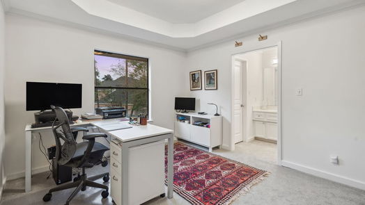 Houston 2-story, 4-bed 13614 Champions Centre Drive-idx