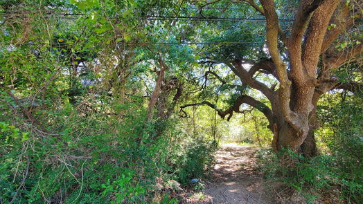 Houston null-story, null-bed 4.98 Acres Schroeder Road-idx