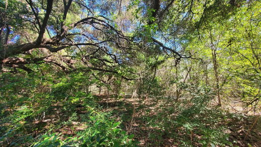 Houston null-story, null-bed 4.98 Acres Schroeder Road-idx