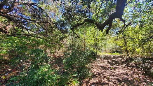 Houston null-story, null-bed 4.98 Acres Schroeder Road-idx