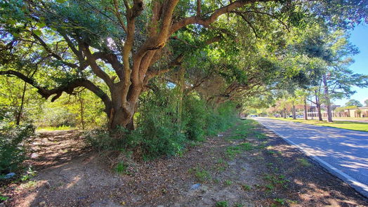 Houston null-story, null-bed 4.98 Acres Schroeder Road-idx