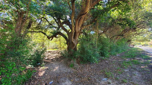 Houston null-story, null-bed 4.98 Acres Schroeder Road-idx