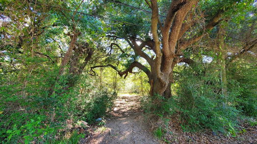 Houston null-story, null-bed 4.98 Acres Schroeder Road-idx