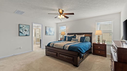 Houston 2-story, 3-bed 9838 Mountain Chestnut Road-idx