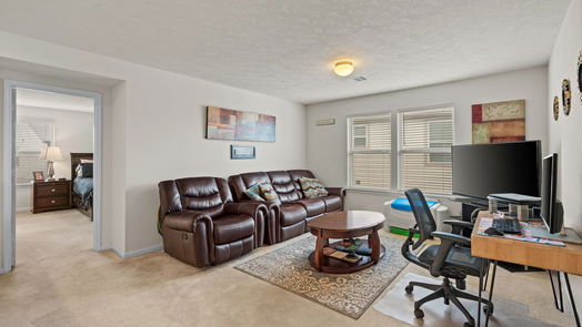 Houston 2-story, 3-bed 9838 Mountain Chestnut Road-idx