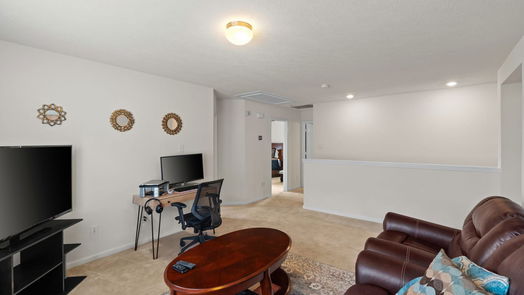 Houston 2-story, 3-bed 9838 Mountain Chestnut Road-idx