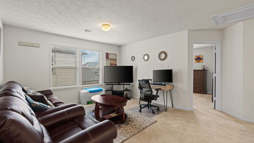 Houston 2-story, 3-bed 9838 Mountain Chestnut Road-idx