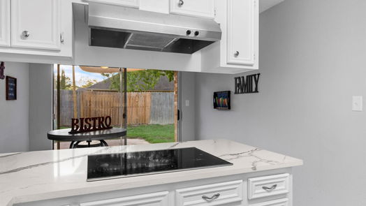 Houston 2-story, 4-bed 13103 Mills Bend Street-idx