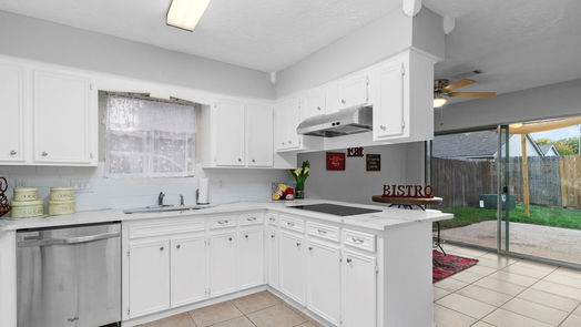 Houston 2-story, 4-bed 13103 Mills Bend Street-idx