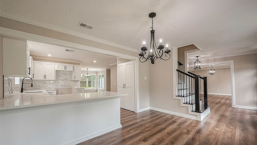 Houston 2-story, 4-bed 10534 Laneview Drive-idx