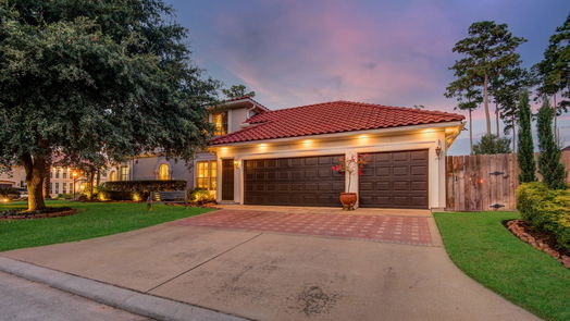 Houston 2-story, 4-bed 9919 Vintage Villa Drive-idx