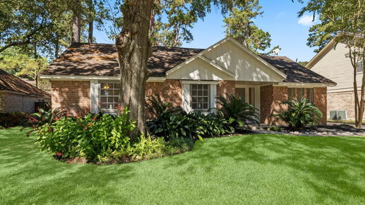 Houston 1-story, 4-bed 15015 Forest Lodge Drive-idx