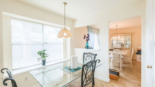 Houston 2-story, 5-bed 8903 Pecan Place Drive-idx