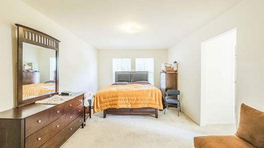 Houston 2-story, 5-bed 8903 Pecan Place Drive-idx