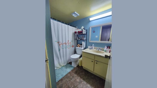 Houston 2-story, 3-bed 4110 Belle Park Drive-idx