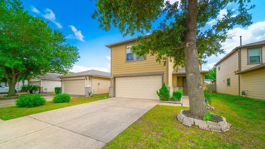 Houston 2-story, 3-bed 12915 Pale Ivy Lane-idx