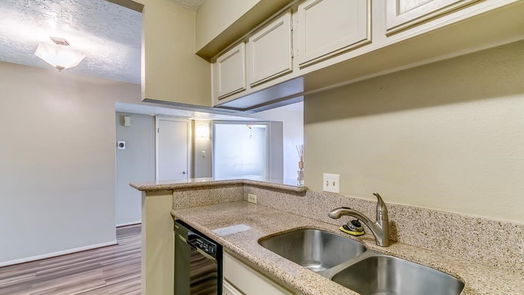 Houston null-story, 1-bed 10555 Turtlewood Court 2614-idx