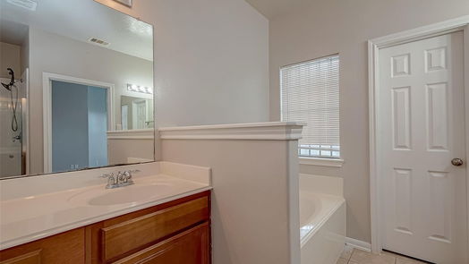 Houston 2-story, 4-bed 12703 High Cotton Lane-idx