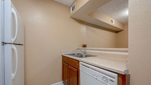 Houston 1-story, 2-bed 10555 Turtlewood Court 1109-idx