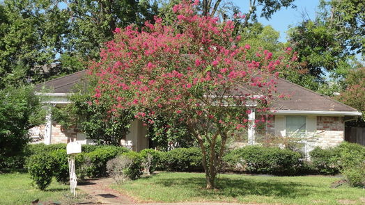 Houston 1-story, 4-bed 4306 Cinnabar Drive-idx