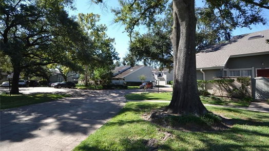 Houston 2-story, 3-bed 13014 Wirevine Lane-idx