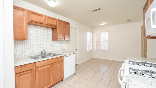 Houston 1-story, 3-bed 21807 Paril Creek Drive-idx