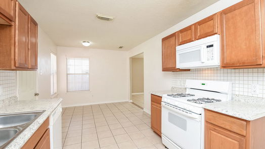 Houston 1-story, 3-bed 21807 Paril Creek Drive-idx