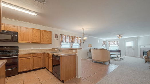 Houston 2-story, 4-bed 426 Canton Bluff Lane-idx