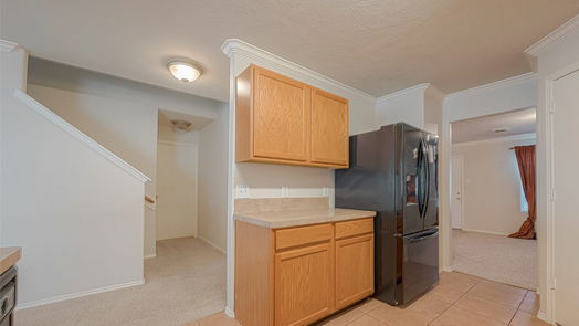 Houston 2-story, 4-bed 426 Canton Bluff Lane-idx