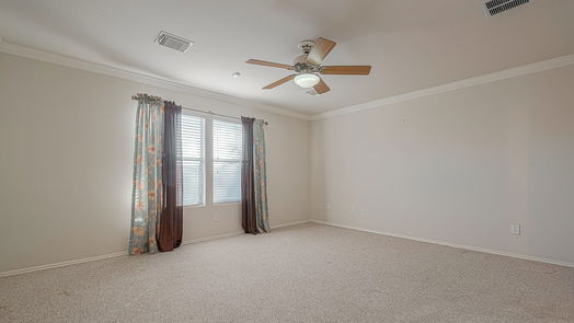 Houston 2-story, 4-bed 426 Canton Bluff Lane-idx