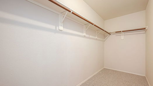 Houston 2-story, 4-bed 426 Canton Bluff Lane-idx