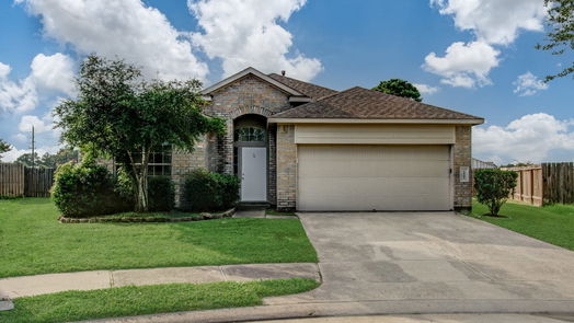 Houston 1-story, 3-bed 1007 Lavender Shade Court-idx