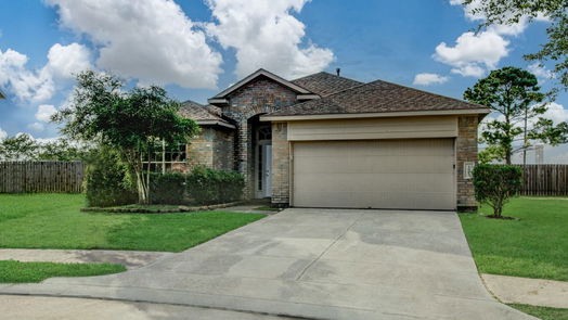 Houston 1-story, 3-bed 1007 Lavender Shade Court-idx