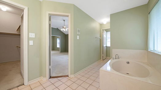 Houston 1-story, 3-bed 3110 Birch Park Lane-idx