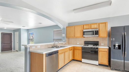 Houston 1-story, 3-bed 19007 Desert Marigold Drive-idx