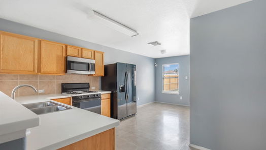 Houston 1-story, 3-bed 19007 Desert Marigold Drive-idx