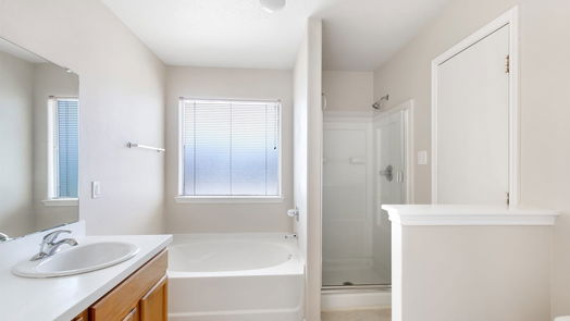 Houston 1-story, 3-bed 19007 Desert Marigold Drive-idx